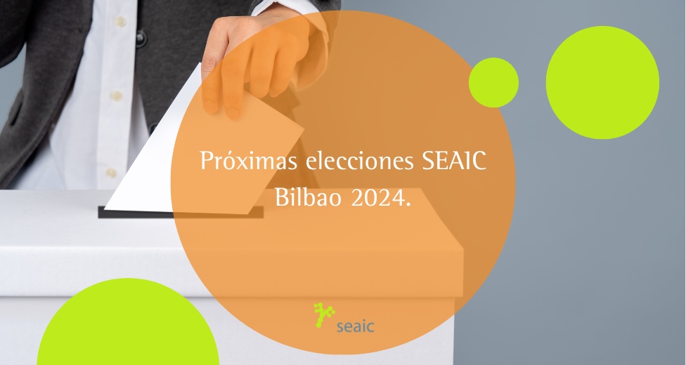 Convocatoria Elecciones SEAIC 2024